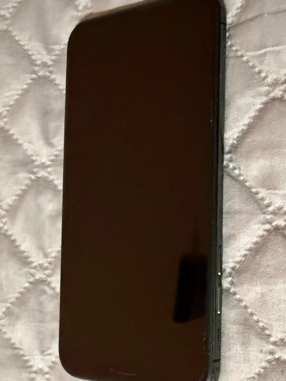 Apple iPhone in Space Gray with Dual Rear Cameras